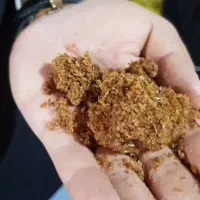 پخش عمده کشمش صفا|عمدهفروشی|اهواز, کیانشهر|دیوار