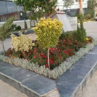 خدمات کلیه باغبانی باغچه کاری کاشت گل وگیا به تمام