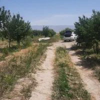 جک جی فور تمیز