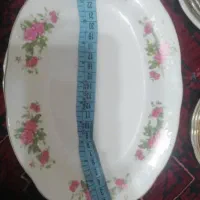 سرویس گل سرخی|ظروف سرو و پذیرایی|شیراز, هفت تنان|دیوار