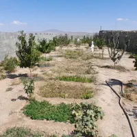 فروش باغ روبروی شهرک رضوی بسطام