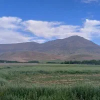 اجاره-خانه-باغ-در-الشتر