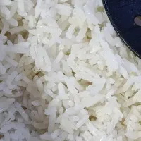 فروش به قیمت عمده برنج چمپا