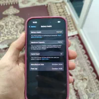 ایفون 15 نرمال|موبایل|تهران, مولوی|دیوار