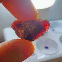 سنگ یاقوت سرخ|جواهرات|یزد, |دیوار