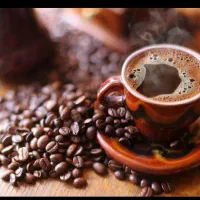 کارگر ساده آقا جهت کارخانه سرویس+خوابگاه+غذا