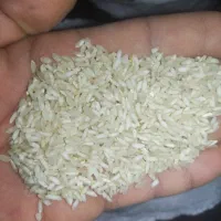 برنج عنبربو / عنبر بو کامفیروزی با عطر و طعم عالی|خوردنی و آشامیدنی|شیراز, داریون|دیوار