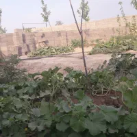 باغ فروشی سمندر|فروش خانه و ویلا|چناران, |دیوار