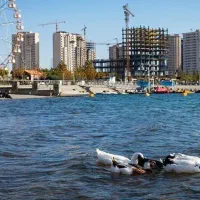 ثبت نام واحد97متری/چیتگر/تهاتر محدود/اقساطی|فروش آپارتمان|کرج, جهان‌شهر|دیوار