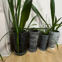 گلدان|گل و گیاه طبیعی|بندر انزلی, نیمه شعبان|دیوار