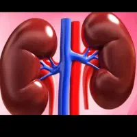 راهنمایی درمورد بیماری کلیوی