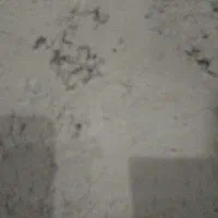 نیازمند خودرو اجاره