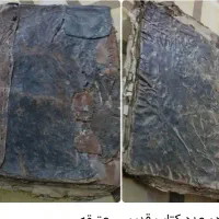 کتاب قدیمی. عتیقه