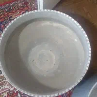 گازان وگیلخزان