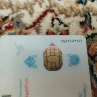 کارت ملی گمشده