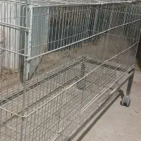 انواع قفس|لوازم جانبی حیوانات|بوئین زهرا, |دیوار