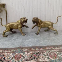 ببر برنج قدیمی