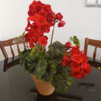 گل مصنوعی|گل مصنوعی|خمینیشهر, |دیوار