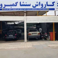 نیرو کارواش