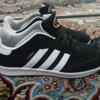 کفش|کیف، کفش، کمربند|یزد, |دیوار