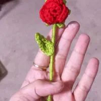 گیفت گل .ساده و مگنتی