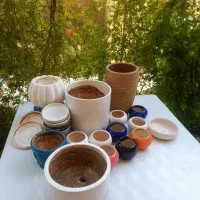 فروش تعدادی گلدان شیک و متنوع|گل و گیاه طبیعی|شیراز, شهرک فرهنگیان|دیوار