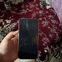 ۱۳پرومکس