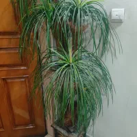 وسایل خانه