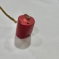 سنگ مرجان وچشم ببر