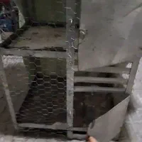 قفس دو طبقه