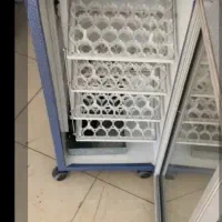 تبدیل تخم مرغ به جوجه