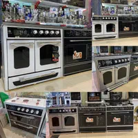 اجاق گاز برند بدنه استیل و لعاب باارسال