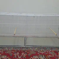 قفس بزرگ