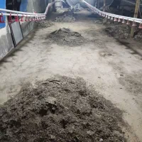 کود بلدرچین