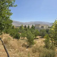 فروش دو قطعه باغ ۱۰۰۰ متری