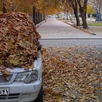 گردش ،تور ،همراه