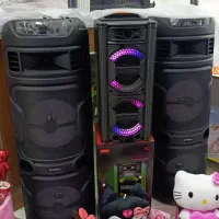 ار جی بی اسپیکر8821کنترل میکروفون وایرلس باند