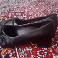 کفش مجلسی