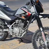 تریل دینو
