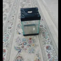 آکواریوم پمپ تصفیه مجسمه در بیدستان فوری|ماهی|قزوین, |دیوار