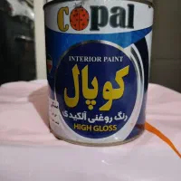 رنگ روغنی الکیدی کوپال و پارس اشن
