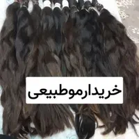 بانوان بی واسطه خریدار اصلی موهستم