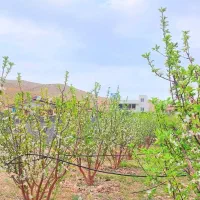 باغچه ۱۵۰ متری دماوند با قابلیت ساخت با آب و برق