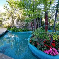 ۲۵۰ متر ویلایی یک از دو / بی نظیر در منطقه