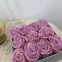 گل ربانی فقط ۲۶۰|گل مصنوعی|اراک, |دیوار