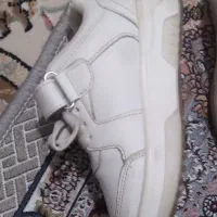 کفش|کیف، کفش، کمربند|کوهدشت, |دیوار