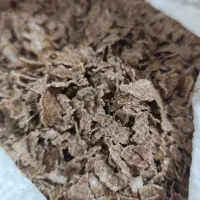کنجاله انواع گیاهان