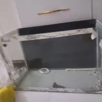 آکواریوم با تمام تجهیزات|ماهی|اندیشه, اندیشه فاز ۵|دیوار