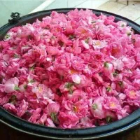 آرایشگاه سیار