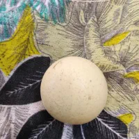 سنگ آسیاب بزرگ قیمت 10000000